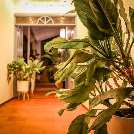 Aura Hotel Parque Barichara By Infinity Luaran gambar