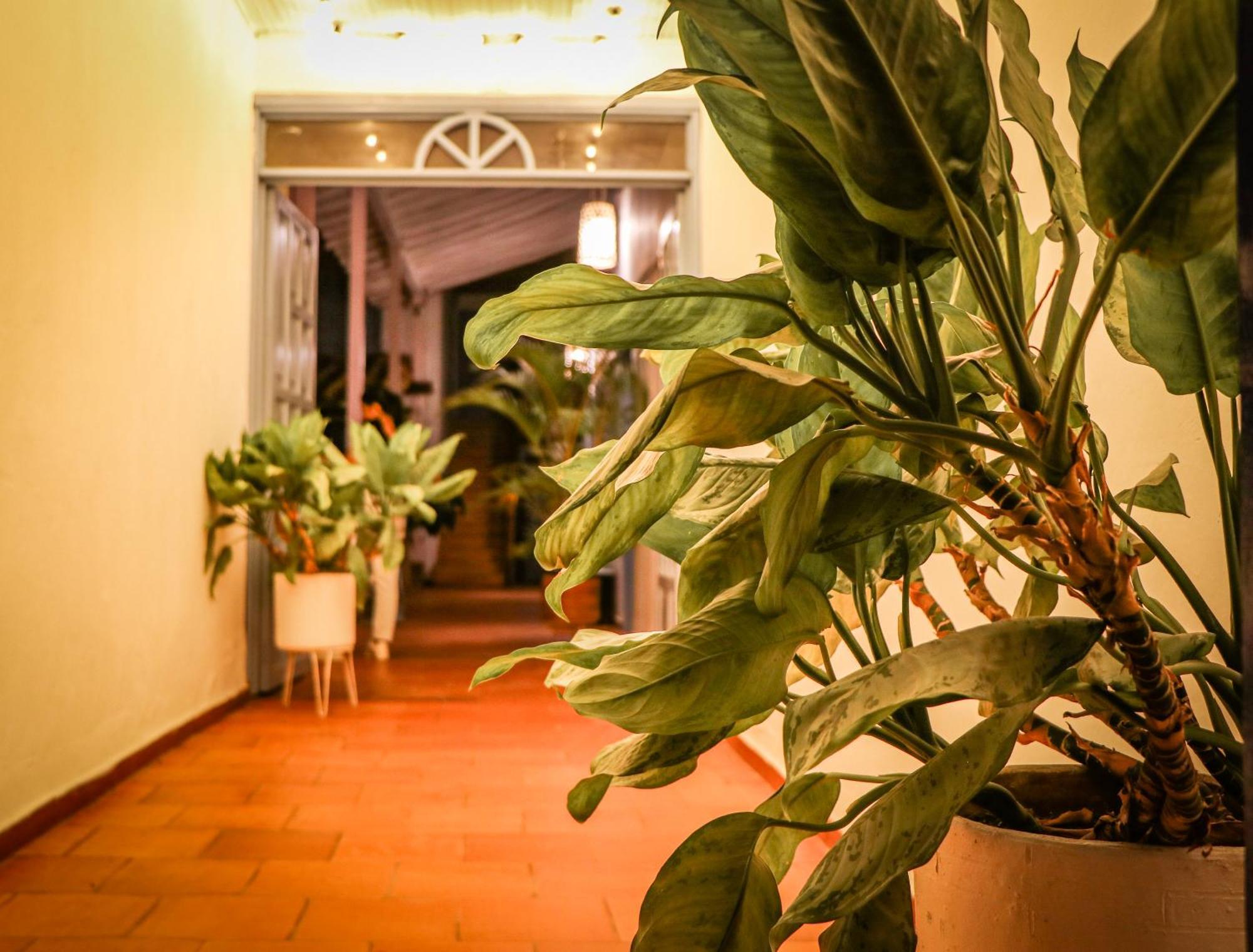 Aura Hotel Parque Barichara By Infinity Luaran gambar